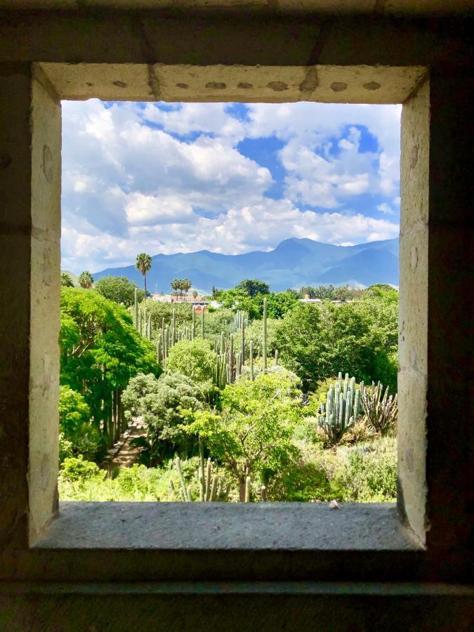 Beautiful Apartment In Oaxaca City'S Best Location Exteriér fotografie