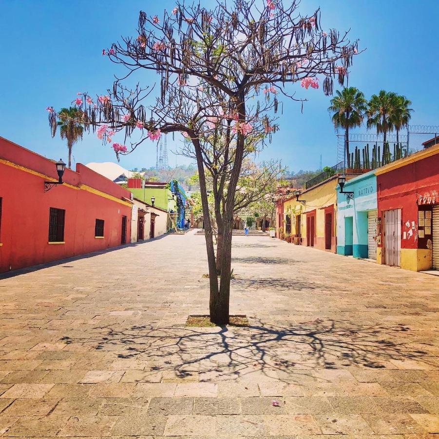 Beautiful Apartment In Oaxaca City'S Best Location Exteriér fotografie