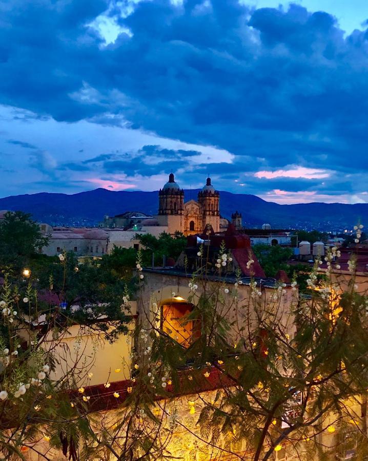 Beautiful Apartment In Oaxaca City'S Best Location Exteriér fotografie